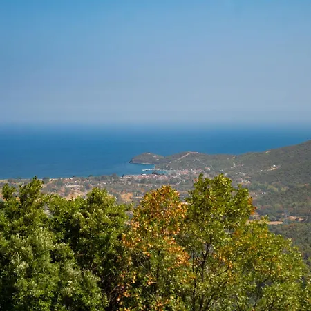 Aristi House * Olympiada