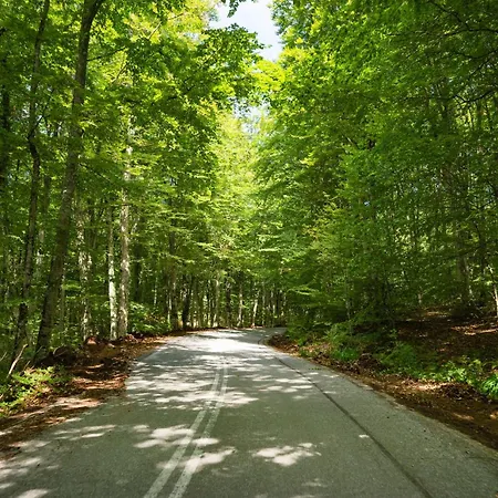 Aristi House Apartamento Olympiada